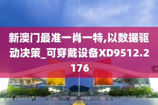 新澳门最准一肖一特,以数据驱动决策_可穿戴设备XD9512.2176