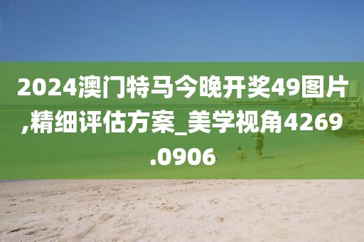 2024澳门特马今晚开奖49图片,精细评估方案_美学视角4269.0906