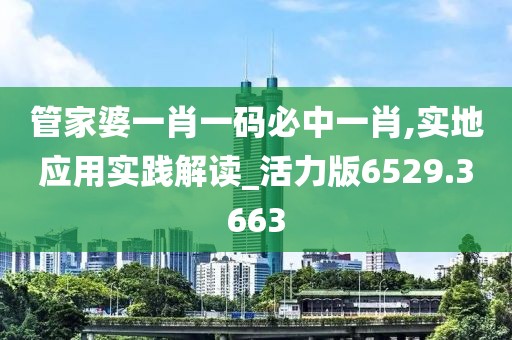 管家婆一肖一码必中一肖,实地应用实践解读_活力版6529.3663
