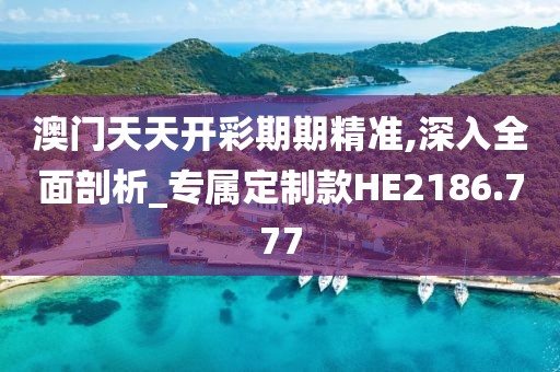 澳门天天开彩期期精准,深入全面剖析_专属定制款HE2186.777