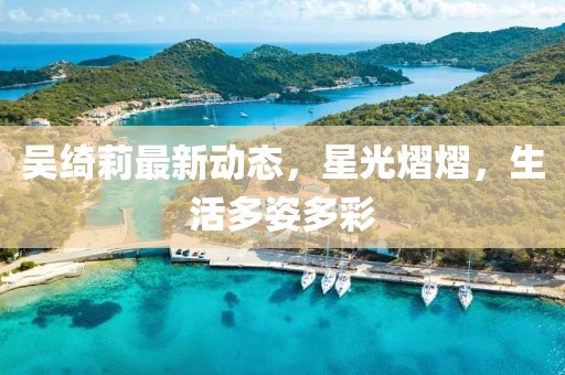 吴绮莉最新动态，星光熠熠，生活多姿多彩