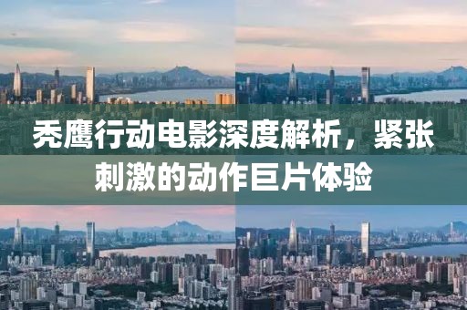 秃鹰行动电影深度解析，紧张刺激的动作巨片体验