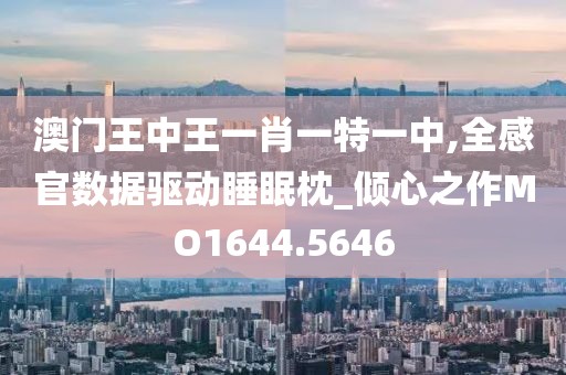 澳门王中王一肖一特一中,全感官数据驱动睡眠枕_倾心之作MO1644.5646