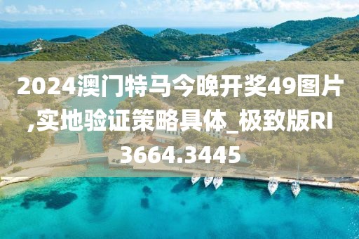 2024澳门特马今晚开奖49图片,实地验证策略具体_极致版RI3664.3445