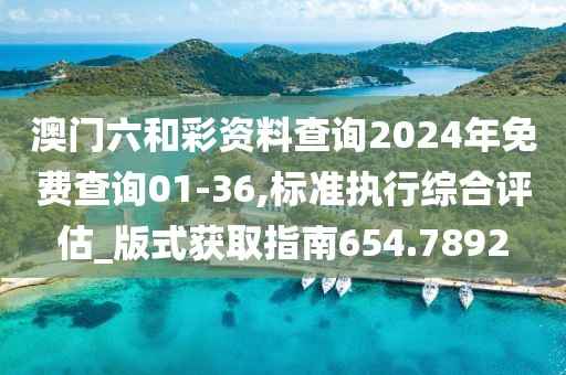 澳门六和彩资料查询2024年免费查询01-36,标准执行综合评估_版式获取指南654.7892