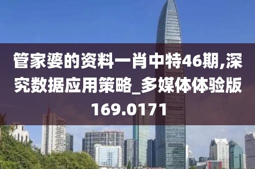 管家婆的资料一肖中特46期,深究数据应用策略_多媒体体验版169.0171