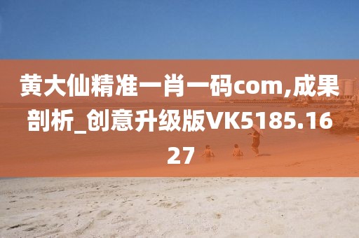 黄大仙精准一肖一码com,成果剖析_创意升级版VK5185.1627