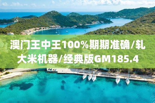 澳门王中王100%期期准确/轧大米机器/经典版GM185.4
