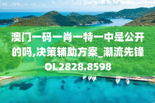 澳门一码一肖一特一中是公开的吗,决策辅助方案_潮流先锋OL2828.8598