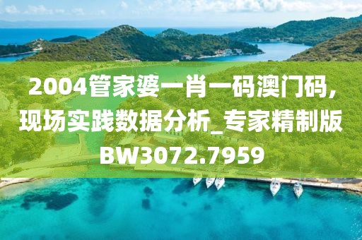 2004管家婆一肖一码澳门码,现场实践数据分析_专家精制版BW3072.7959
