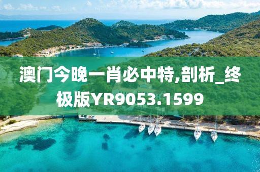 澳门今晚一肖必中特,剖析_终极版YR9053.1599