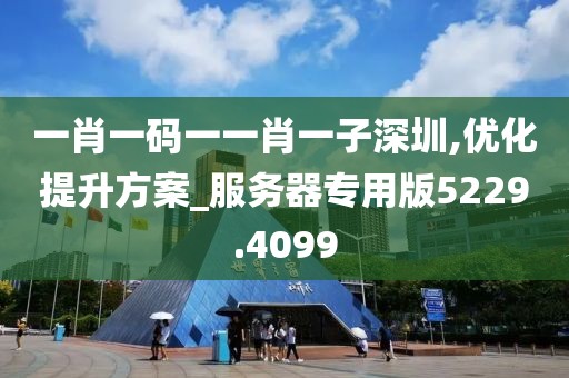 一肖一码一一肖一子深圳,优化提升方案_服务器专用版5229.4099