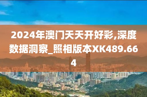 2024年澳门天天开好彩,深度数据洞察_照相版本XK489.664