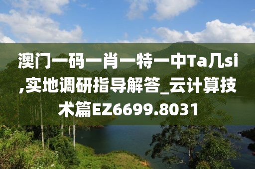 澳门一码一肖一特一中Ta几si,实地调研指导解答_云计算技术篇EZ6699.8031