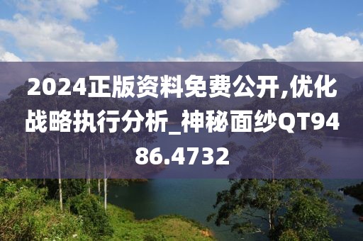 2024正版资料免费公开,优化战略执行分析_神秘面纱QT9486.4732