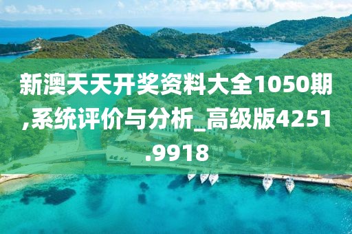新澳天天开奖资料大全1050期,系统评价与分析_高级版4251.9918