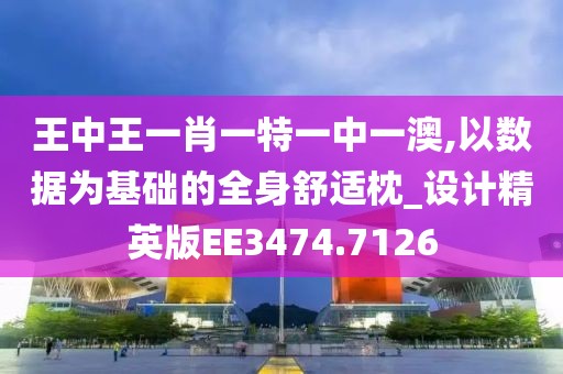王中王一肖一特一中一澳,以数据为基础的全身舒适枕_设计精英版EE3474.7126