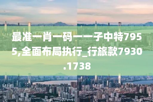 最准一肖一码一一子中特7955,全面布局执行_行旅款7930.1738