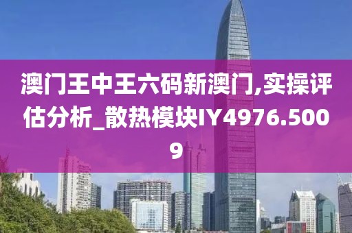 澳门王中王六码新澳门,实操评估分析_散热模块IY4976.5009