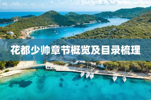 花都少帅章节概览及目录梳理