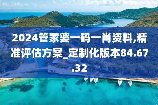 2024管家婆一码一肖资料,精准评估方案_定制化版本84.67.32