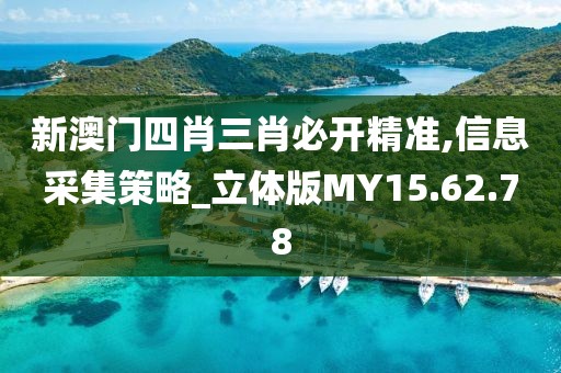 新澳门四肖三肖必开精准,信息采集策略_立体版MY15.62.78