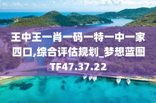 王中王一肖一码一特一中一家四口,综合评估规划_梦想蓝图TF47.37.22