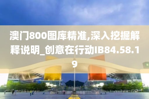 澳门800图库精准,深入挖掘解释说明_创意在行动IB84.58.19