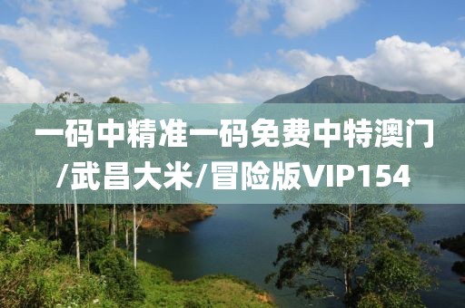 一码中精准一码免费中特澳门/武昌大米/冒险版VIP154