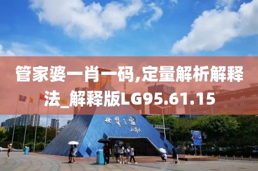 管家婆一肖一码,定量解析解释法_解释版LG95.61.15
