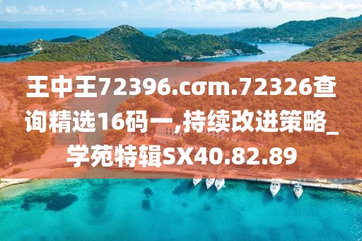 王中王72396.cσm.72326查询精选16码一,持续改进策略_学苑特辑SX40.82.89
