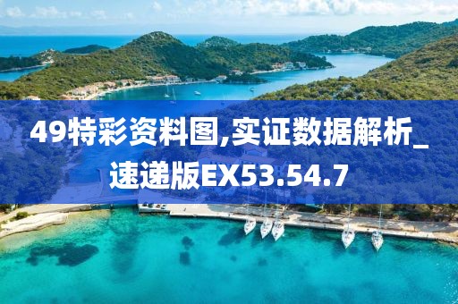 49特彩资料图,实证数据解析_速递版EX53.54.7