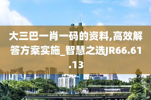 大三巴一肖一码的资料,高效解答方案实施_智慧之选JR66.61.13
