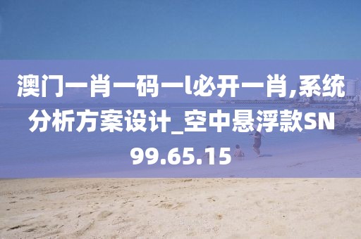 澳门一肖一码一l必开一肖,系统分析方案设计_空中悬浮款SN99.65.15