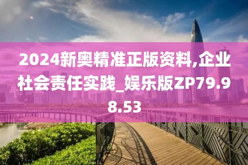 2024新奥精准正版资料,企业社会责任实践_娱乐版ZP79.98.53