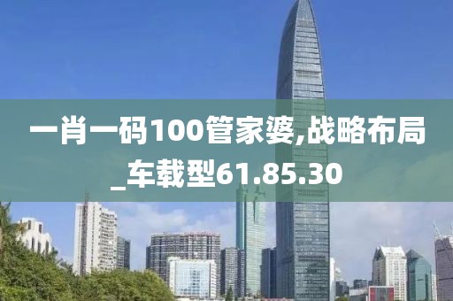 一肖一码100管家婆,战略布局_车载型61.85.30