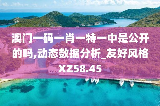 澳门一码一肖一特一中是公开的吗,动态数据分析_友好风格XZ58.45