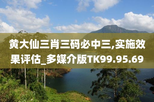 黄大仙三肖三码必中三,实施效果评估_多媒介版TK99.95.69