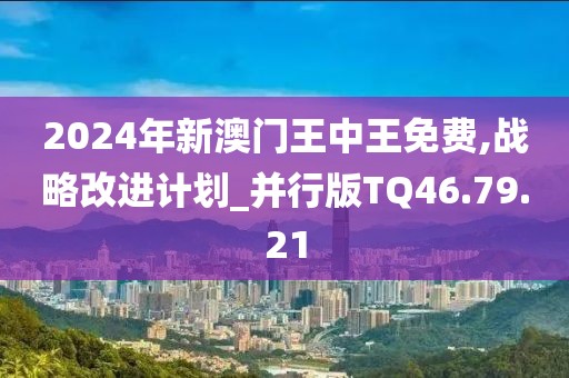 2024年新澳门王中王免费,战略改进计划_并行版TQ46.79.21