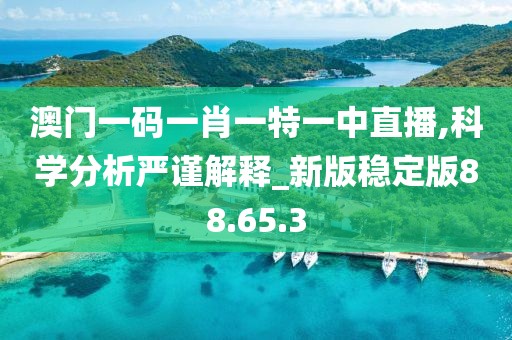 澳门一码一肖一特一中直播,科学分析严谨解释_新版稳定版88.65.3