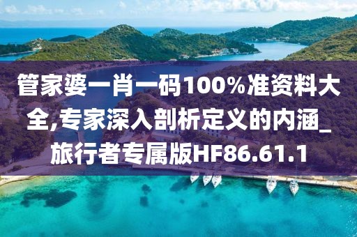 管家婆一肖一码100%准资料大全,专家深入剖析定义的内涵_旅行者专属版HF86.61.1