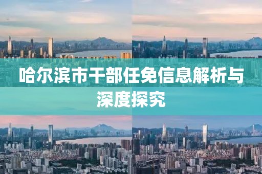 哈尔滨市干部任免信息解析与深度探究