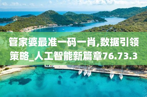 管家婆最准一码一肖,数据引领策略_人工智能新篇章76.73.3