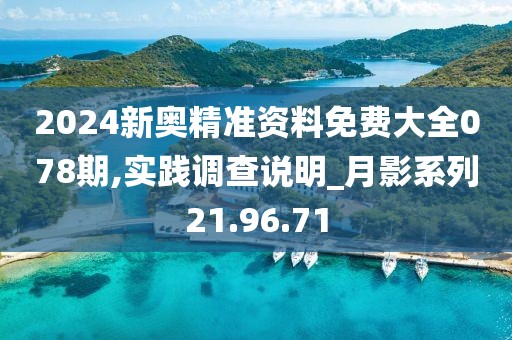 2024新奥精准资料免费大全078期,实践调查说明_月影系列21.96.71