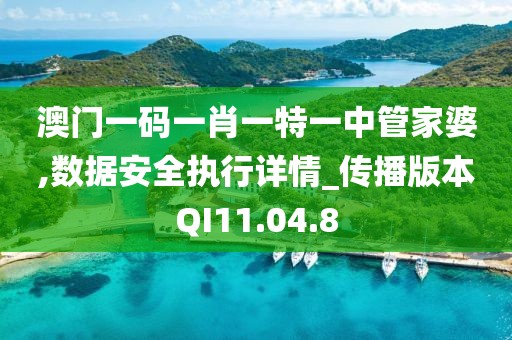 澳门一码一肖一特一中管家婆,数据安全执行详情_传播版本QI11.04.8