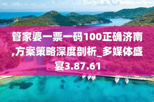 管家婆一票一码100正确济南,方案策略深度剖析_多媒体盛宴3.87.61