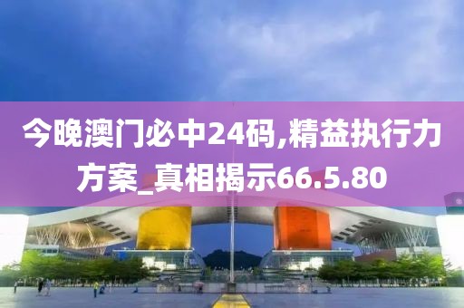 今晚澳门必中24码,精益执行力方案_真相揭示66.5.80