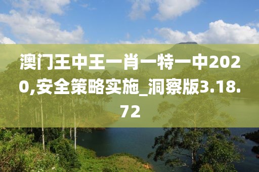澳门王中王一肖一特一中2020,安全策略实施_洞察版3.18.72