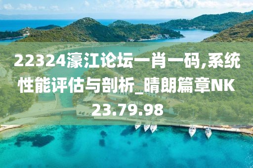 22324濠江论坛一肖一码,系统性能评估与剖析_晴朗篇章NK23.79.98