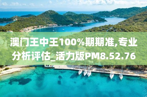 澳门王中王100%期期准,专业分析评估_活力版PM8.52.76